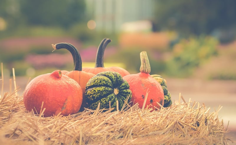 Seasonal Displays